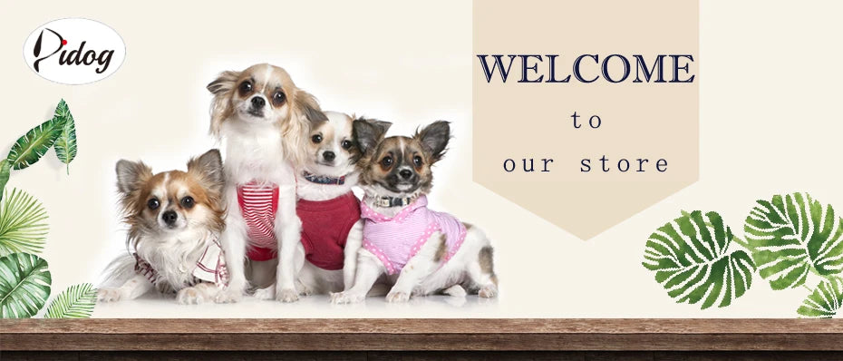Cute Dog Collar Leash Set With Bowknot Soft Velvet Puppy Dogs Collars Outdoor Pet Walking Lead For Small Medium Dogs Chihuahua