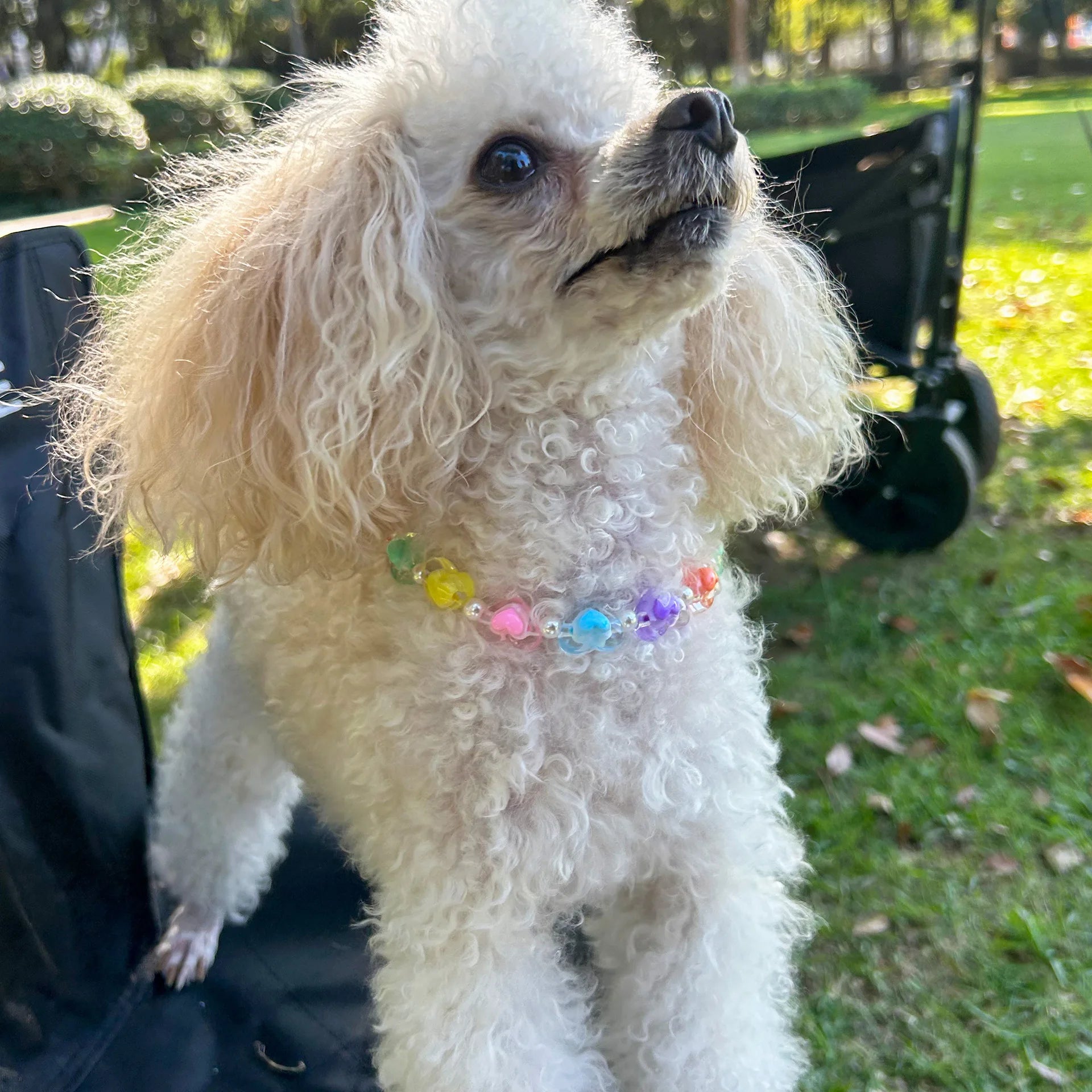 Cute Dog Collars Candy Colored Pearl Necklace Love Flower Beads Alloy Chain Link Adjustable Collar for Dog Cat Pet Supplies
