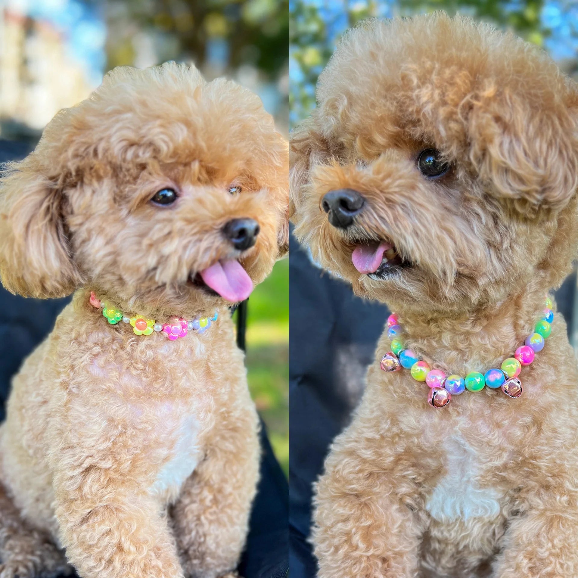 Cute Dog Collars Candy Colored Pearl Necklace Love Flower Beads Alloy Chain Link Adjustable Collar for Dog Cat Pet Supplies