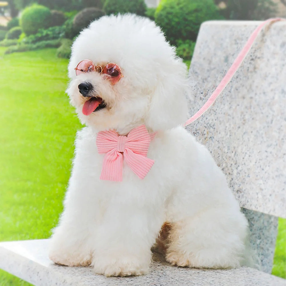 Cute Dog Collar Leash Set With Bowknot Soft Velvet Puppy Dogs Collars Outdoor Pet Walking Lead For Small Medium Dogs Chihuahua